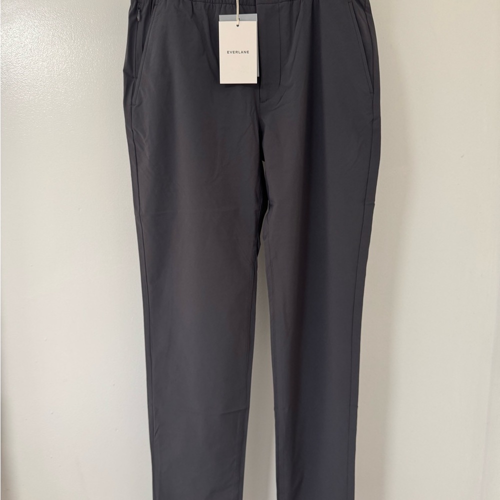 Everlane Men's Gray Pants, tech pant